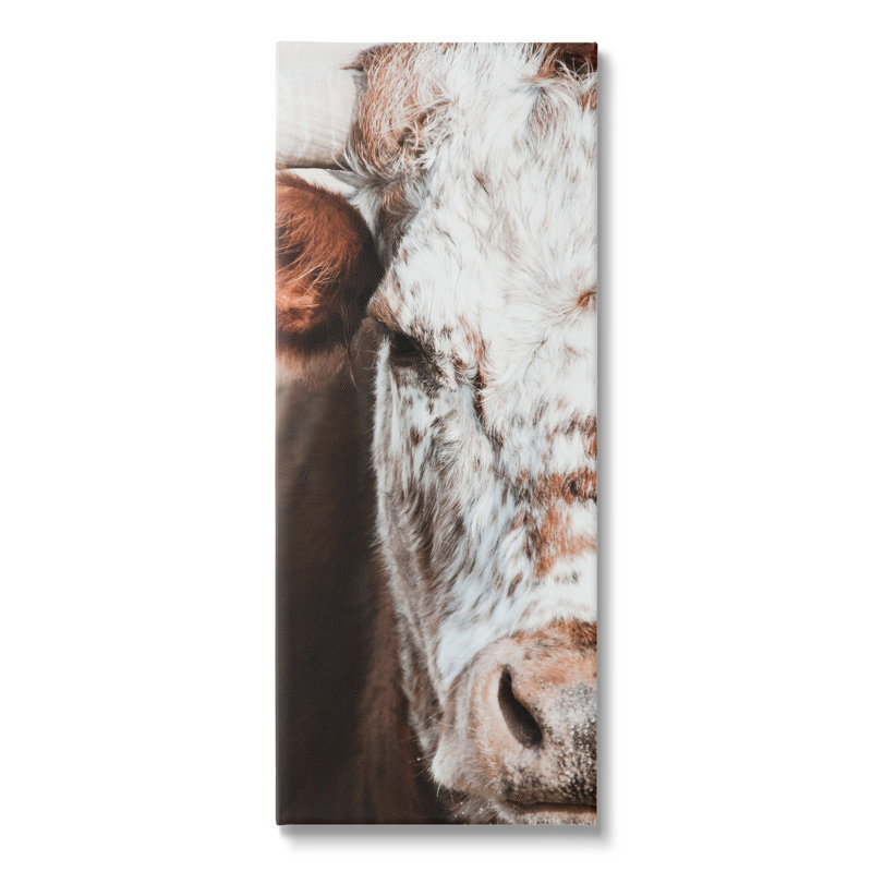 Gros plan d'une vache tachetée, détail d'une photographie de ferme par échelle blanche, L 13 po x H 30 po, Toile tendue