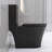 Matte Black Elongated One Piece Toilet Dual Flush 1.1/1.6 GPF Water Saving Map 1000g,Matte Black-122583340