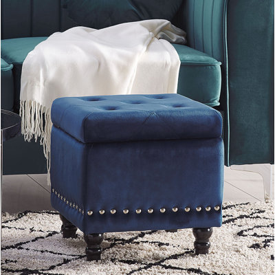 Reaves 37cm Wide Velvet Square Solid Colour Ottoman with Storage