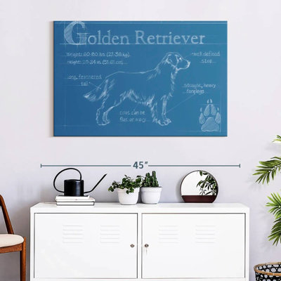 Golden retriever de Brampt