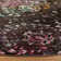 Tapis ikat Andy Performance