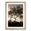 Leopard Siesta - Picture Frame Painting Print-55582643-55582645