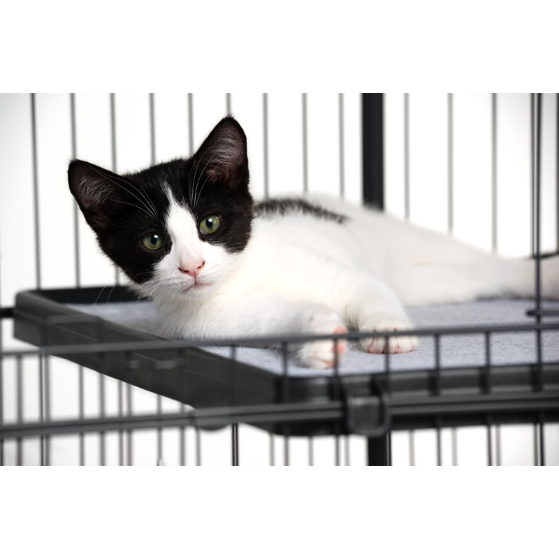 Coppage Cat Accessory