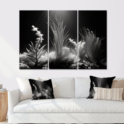«Black and White Underwater Silent Flow I» - ensemble d'impression d'art mural corail sous l'eau