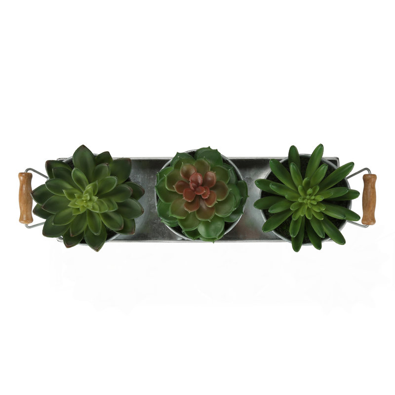 Plantes artificielles, ensemble de 3, hauteur 6 ", plante grasse, pots en métal argenté, contemporain, moderne