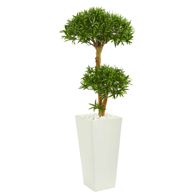50'' Faux Bonsai Tree in Planter