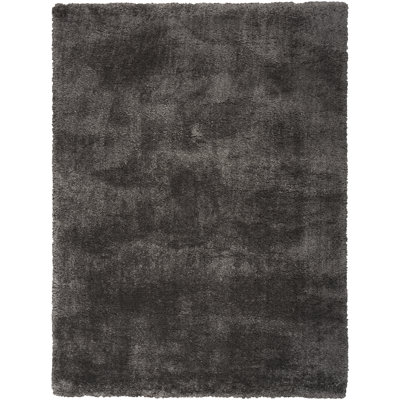 Indoor Rug