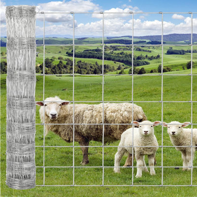 Clôture de ferme, clôture de bovins galvanisée robuste, clôture en fil de zinc robuste, clôture en cerf, clôture en fil de fer pour la protection des animaux de ferme
