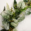 Hanging Plants 150cm Faux Plant