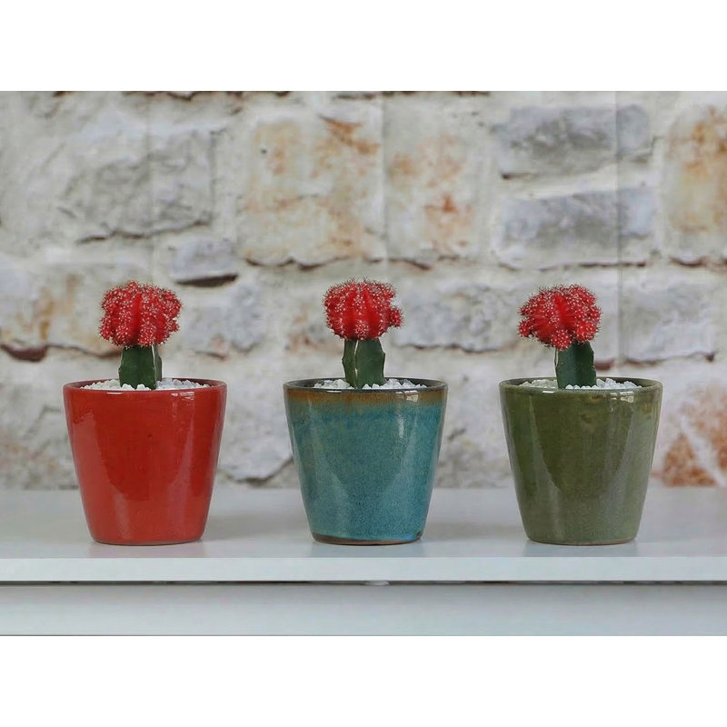 Grandes tasses lilas pour bébé 4,5 po x 4,5 po