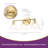 Albern 3-Light Brushed Gold Glass Vanity Wall Sconce for Bathroom