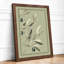 Olive Study Botanical - Framed Print-1643935226-1643935230