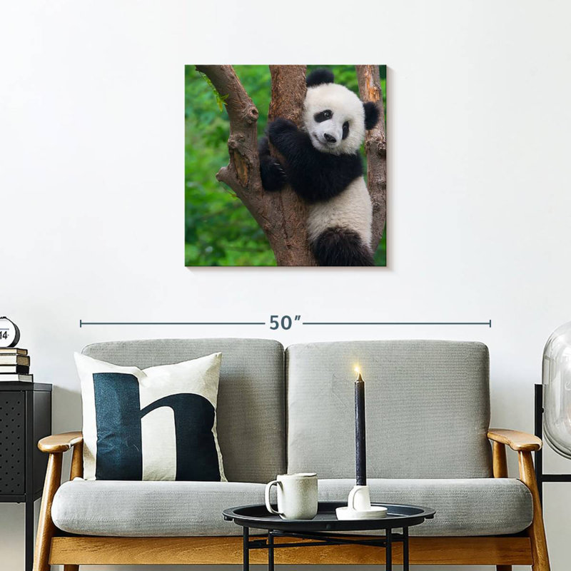 Brampt Adorable Panda, 24" H x 24" W