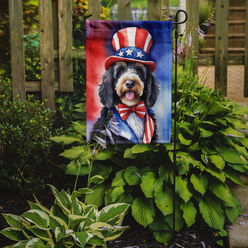 Drapeau patriotique du jardin américain, Bernedoodle