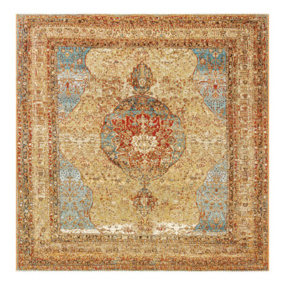 Indoor/Outdoor Traditional Area Rug