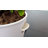LINKSTYLE CHLORA Smart Herb Garden Planter