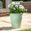 Dinardo Pot Planter-1955219778-1955219777