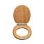 Hartley Soft Close Round Standard Toilet Seat