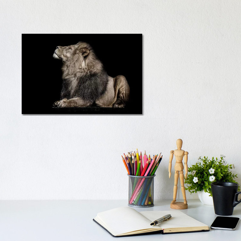 Ignorance by Paul Neville - Gallery-Wrapped Canvas Giclée on Canvas, No Frame, 20.32 cm H x 30.48 cm W