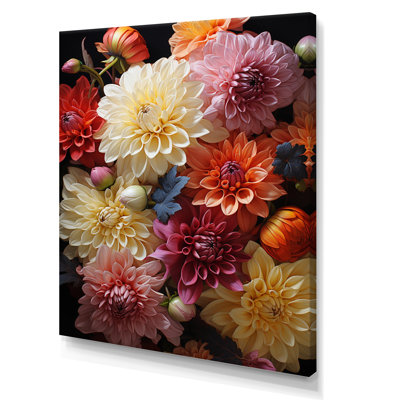Ellera Mums Autumn Hues Showcases I
