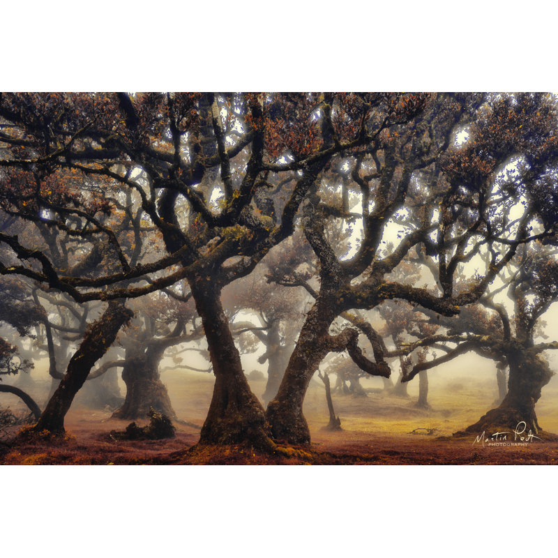 «The Hidden Truth» par Martin Podt - reproduction d'art sur toile tendue, H 24 po x l 36 po, Toile tendue