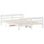 Albinca Solid Wood Bed-919799920-919799922