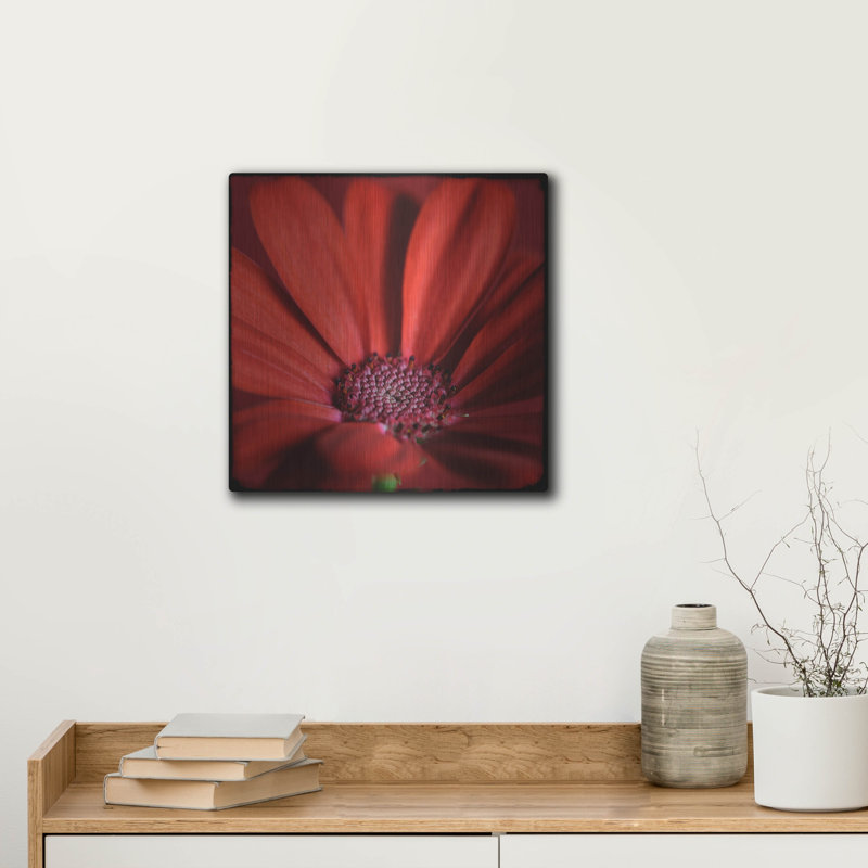 «Red Gerbera On Red 06» par Tom Quartermaine, H 12 po x l 12 po