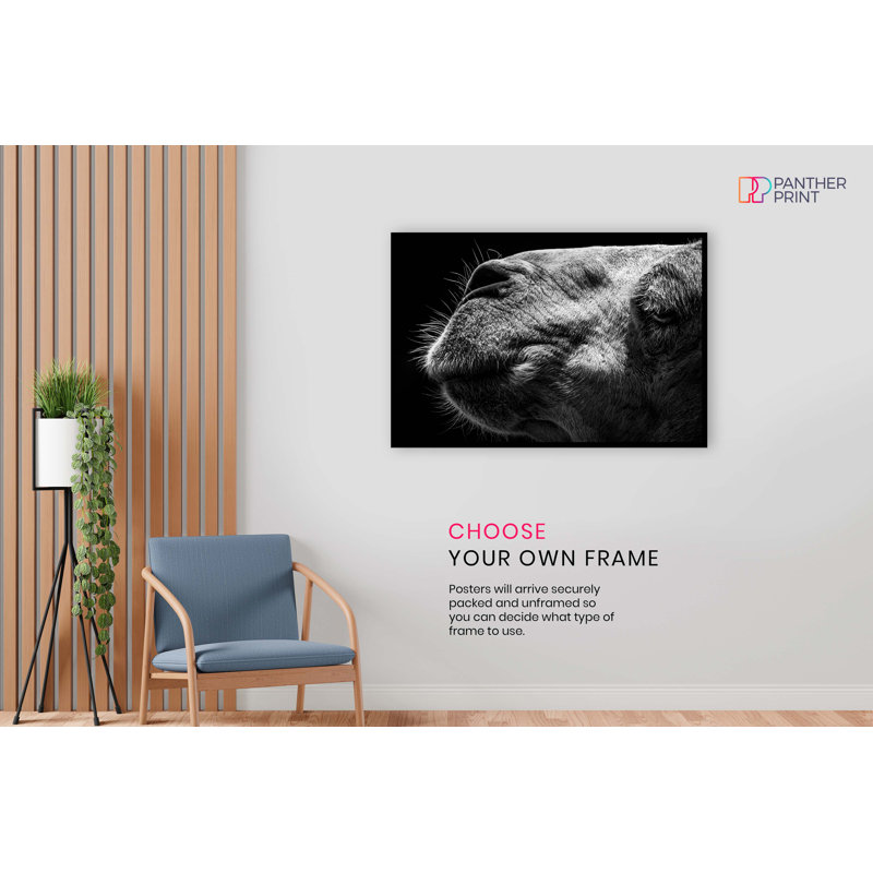 Camel Face Close Up - No Frame Print, 31cm H x 20cm W