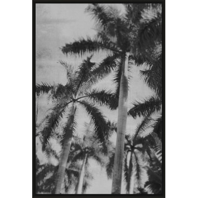 Silver Palms 4' Framed Photographic Print