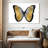 Butterfly In Metallic I-115388603