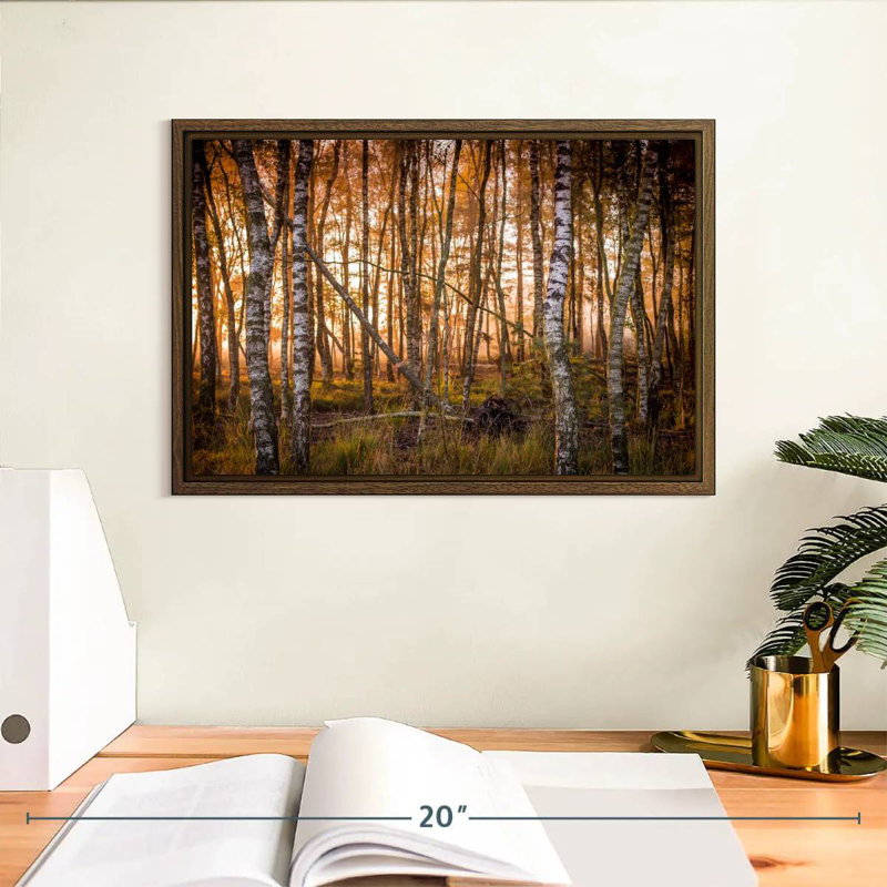 Forêt de bouleaux sombre, 13 po x 9 po, Cadre flottant noyer