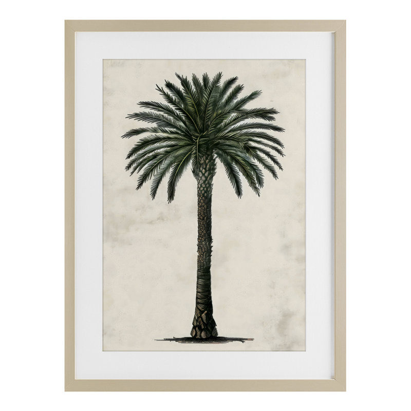 «Botanical Rounded Palm Tree», reproduction encadrée sous verre, design par LSR Design Studio, Cadre de récolte en pin