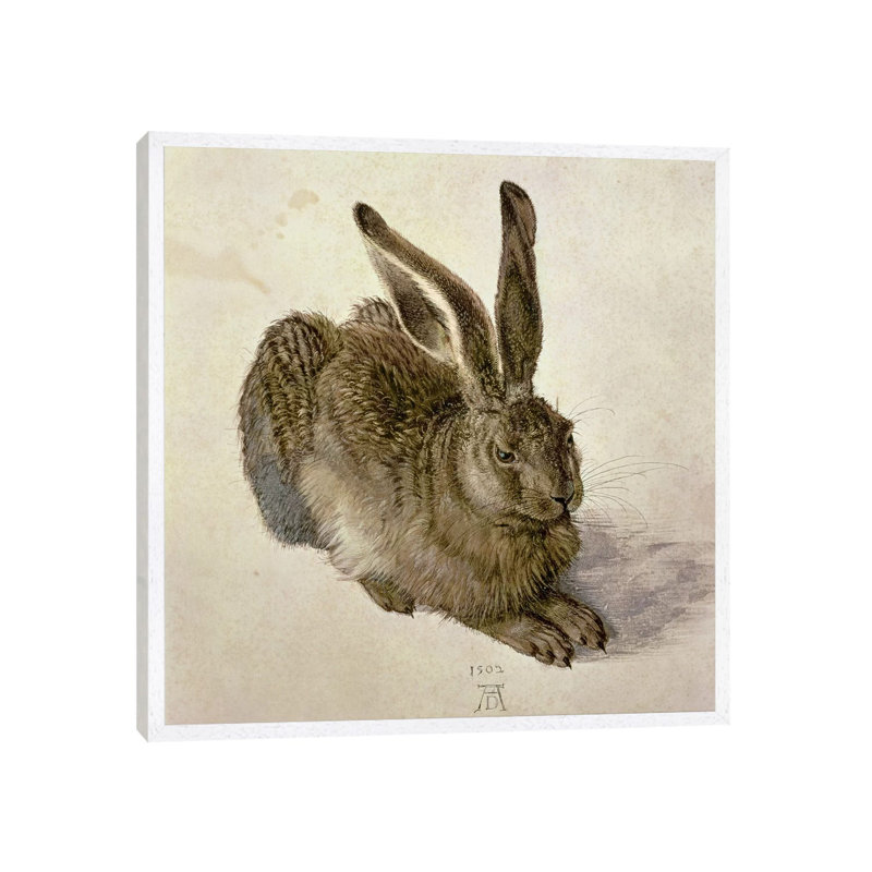 Hare, 1502 by Albrecht DÃ¼rer - Painting on Canvas, 66.04 cm H x 66.04 cm W, White Framed