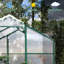 Serre de 6 pi x 6 pi - Panneaux en polycarbonate résistants au vent et à hauteur de cadre en aluminium pour une conception de jardinage toutes saisons