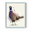 Pheasant Splash 6 Framed Print - Solid Wood-2000546194-2000546193