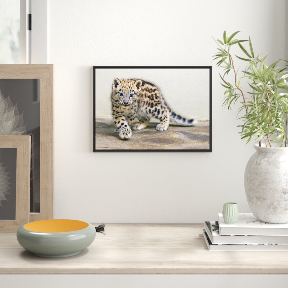 Gerahmtes Wandbild stolzierendes Leopardenjunges