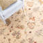 Agra Hand-Knotted Wool Beige/Yellow Area Rug-10492200
