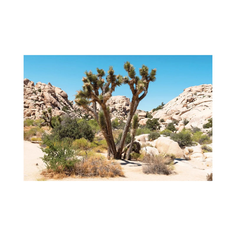 American West - Joshua Tree Desert 1 Piece Wall Art on Canvas, 20.32cm H x 30.48cm W