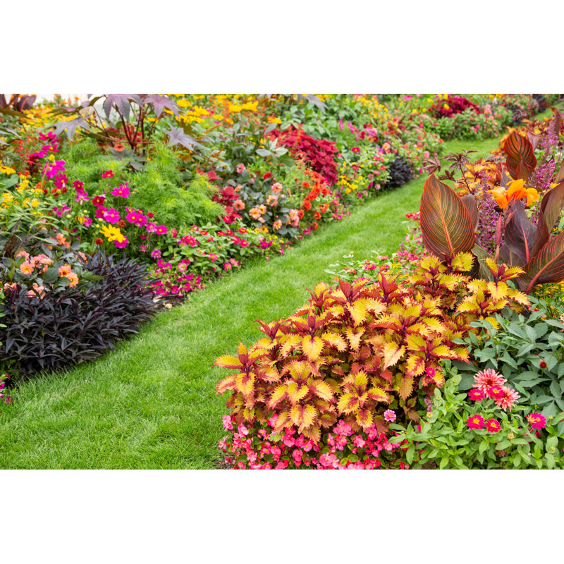 Colourful Flower Garden by Basieb, 12" H x 18" W