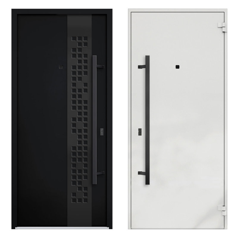 Modern Black Metal Exterior Prehung Door with Sidelites