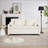 66 Inch Sleeper Sofa Bed-1740528589