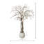 Magnolia Tree in Stone Pot