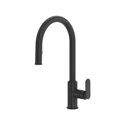 Arca Pull-Down Kitchen Faucet With C-Spout
