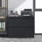 Wide Metal File Cabinet with 2 Drawers and Lock-267006622