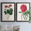 Toile encadrée rosée Blooms II-59823596-59823595-59986633
