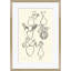 Vessels II Giclee Print by Susan Hable