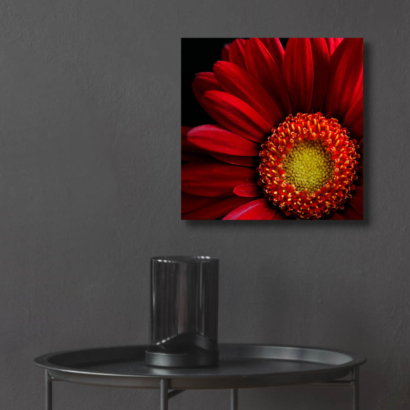 Art mural épique «Gerbera rouge sur noir 02» par Tom Quartermaine, art mural en verre acrylique, 12 po x 12 po