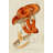 Mushroom Varieties VII - Wrapped Canvas Painting-2130432582