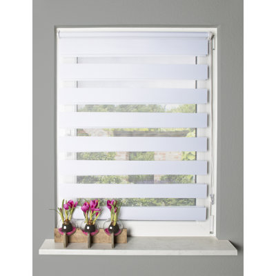 Opaque Roll-Up Shade