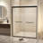 Double Sliding Shower Door-127317974